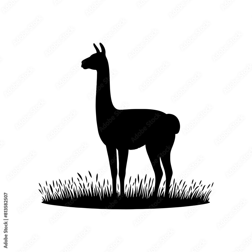 Highland Grace: Vector Vicuña Silhouette, Symbol of Elegance and Alpine Majesty- Minimalist Vicuna Vector- Vicuna Illustration. Highland Grace: Vector Vicuña Silhouette, Symbol of Elegance and Alpine Majesty- Minimalist Vicuna Vector- Vicuna Illustration.