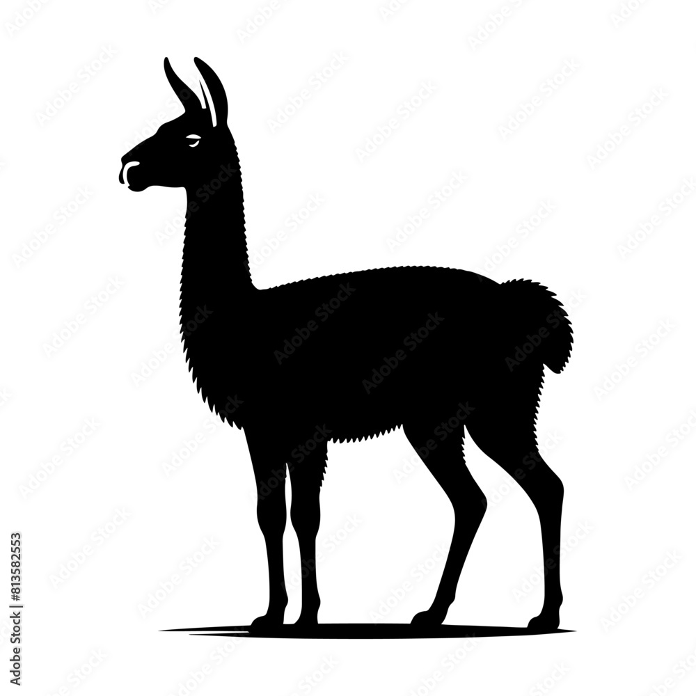 Highland Grace: Vector Vicuña Silhouette, Symbol of Elegance and Alpine Majesty- Minimalist Vicuna Vector- Vicuna Illustration. Highland Grace: Vector Vicuña Silhouette, Symbol of Elegance and Alpine Majesty- Minimalist Vicuna Vector- Vicuna Illustration.