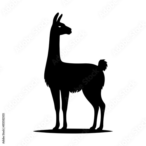 Highland Grace: Vector Vicuña Silhouette, Symbol of Elegance and Alpine Majesty- Minimalist Vicuna Vector- Vicuna Illustration.