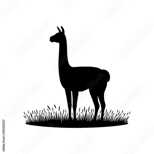 Highland Grace: Vector Vicuña Silhouette, Symbol of Elegance and Alpine Majesty- Minimalist Vicuna Vector- Vicuna Illustration.