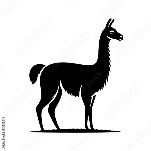 Highland Grace: Vector Vicuña Silhouette, Symbol of Elegance and Alpine Majesty- Minimalist Vicuna Vector- Vicuna Illustration.