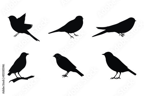 Set of black bird silhouettes. Vector elements for design.