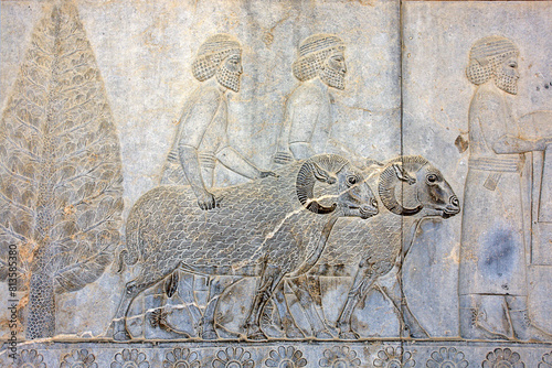 Bas reliefs that depict delegations from across the Persian empire bringing tribute to the Achaemenid kings in Persepolis, Iran