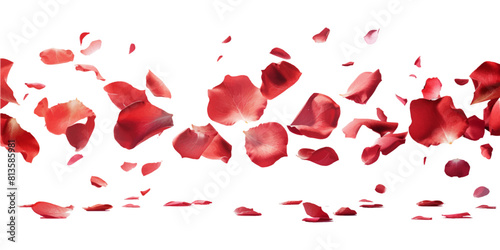 Red rose petals flying in the air on white background