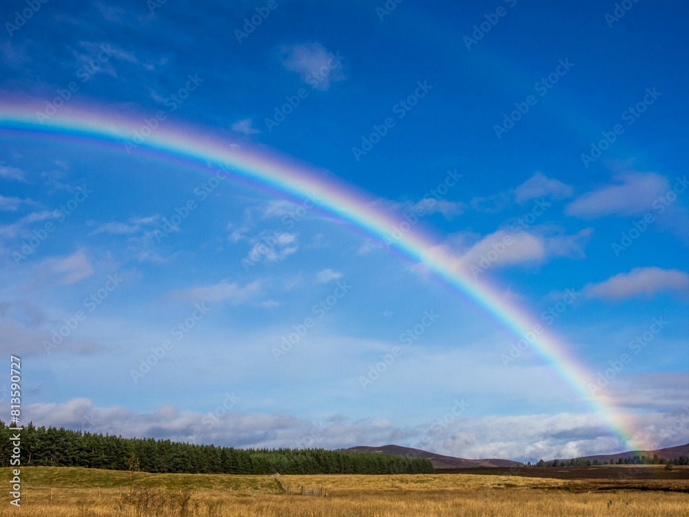 Rainbow over the field in spring Rainbow over the field in spring