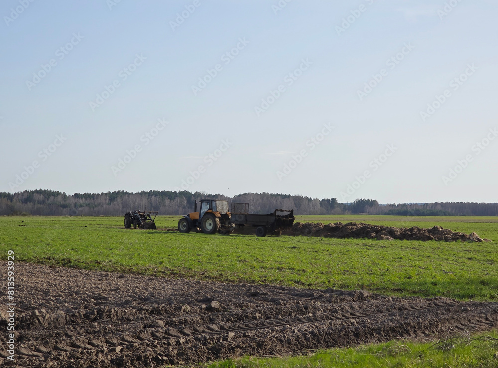 Fototapeta premium Rozrzucanie obornika traktorem wczesną wiosną