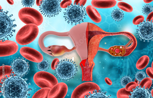 Uterus anatomy on virus bacteria background. 3d illustration.