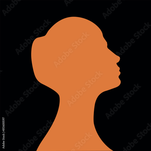 silhouette of a beautiful woman