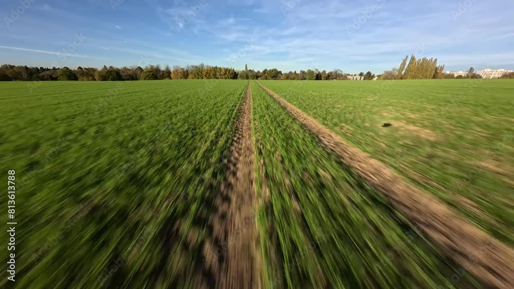 Drone view of farm field crops under a blue sky and sunlight in 4k