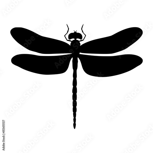 Black and white vector illustration of a dragonfly on a plain white background