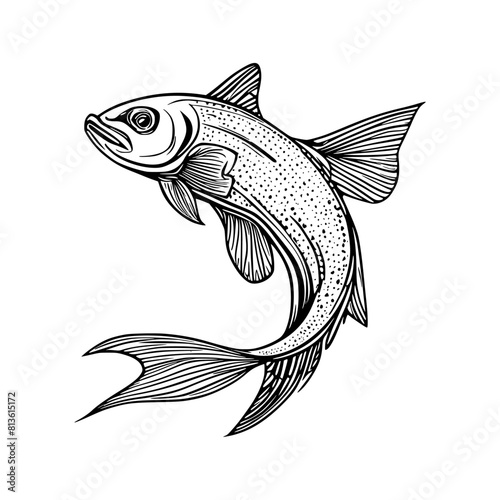Vector illustration of a fish on a white background