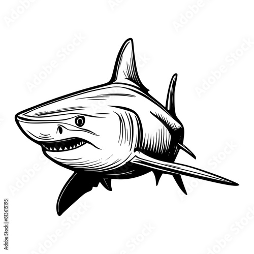 Vector illustration of a silhouette of a predatory shark on a white backdrop