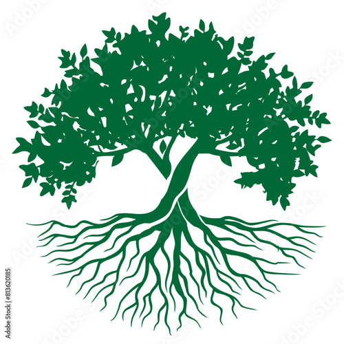 A vector illustration of a tree with roots