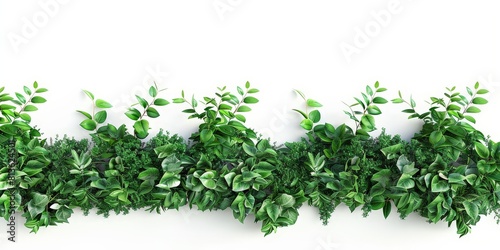 a decoration made from lush green plants in a right angle on a white backgournd  UHD  ultra-realism  4K 
