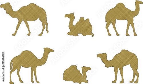 vector illustration sketch vector design desert animal camel running photo