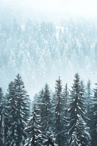 Capture the quiet beauty of a snow-covered evergreen forest  with tall trees standing tall against a backdrop of pristine white snow. The minimalist composition  with just the trees and snow.