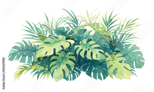 A lush green exotic plant with large leaves and a white background