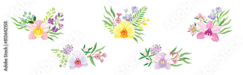 Exotic Bouquet of Orchid and Blooming Twig Vector Set