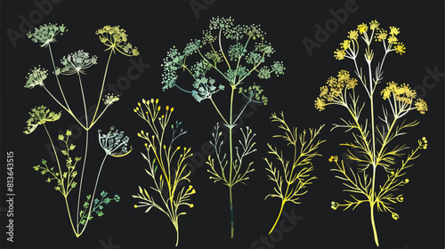 Dill Four. Hand drawn colorful Four with greens bunch
