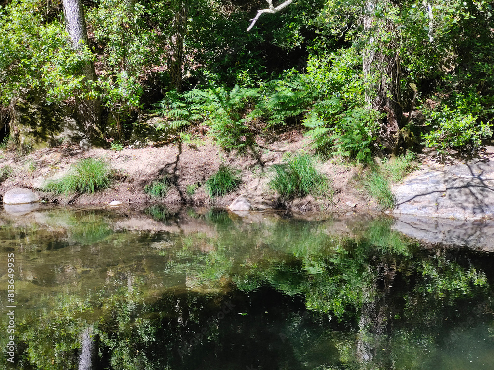 River in nature River in nature