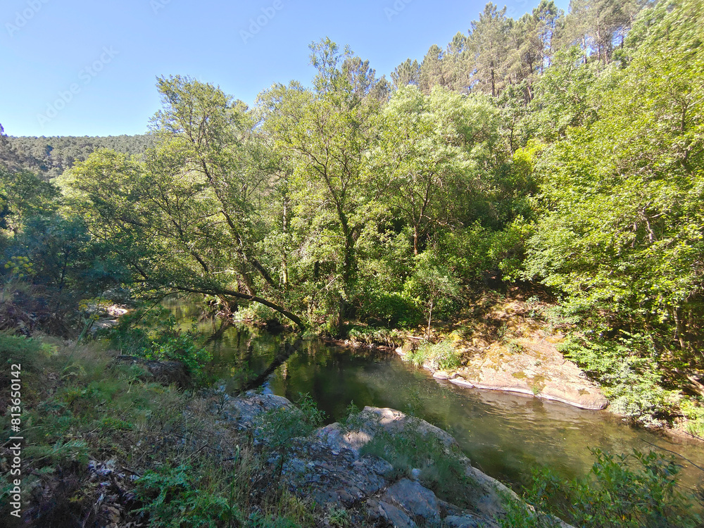 River in nature