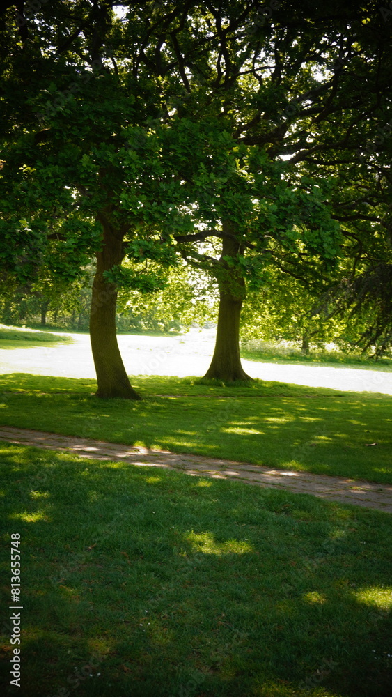 Countryside, Woodland, Nature, Landscape, Rural, Forest, Trees, Scenic, Serene, Tranquil, Greenery, Foliage, Meadows, Fields, Tranquility, Countryside scenery, Natural beauty, Outdoor, Peaceful, Wilde