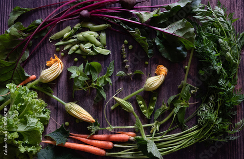 Flat Stacking series assorted green tinted Vegetables, Fresh Organic raw products photo