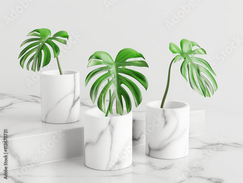 Podium fond produit vert nature 3D forêt stand blanc plante. Fond cosmétique produit podium présentoir bois jungle studio jardin beauté plateforme présentation maquette piédestal pierre tropical