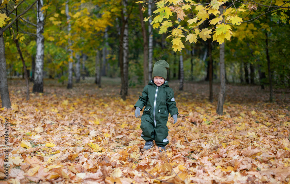 a boy in an autumn green overalls and a green hat stands in autumn golden leaves, an autumn day in golden leaves, a walk with a child in autumn a boy in an autumn green overalls and a green hat stands in autumn golden leaves, an autumn day in golden leaves, a walk with a child in autumn