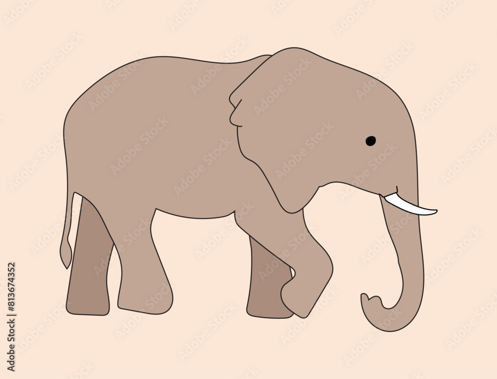 Obraz premium Elephant