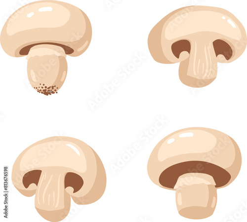  champignon mushrooms whole and sliced