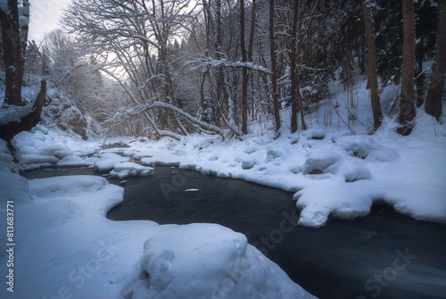 River flowing through a forest in winter © soso