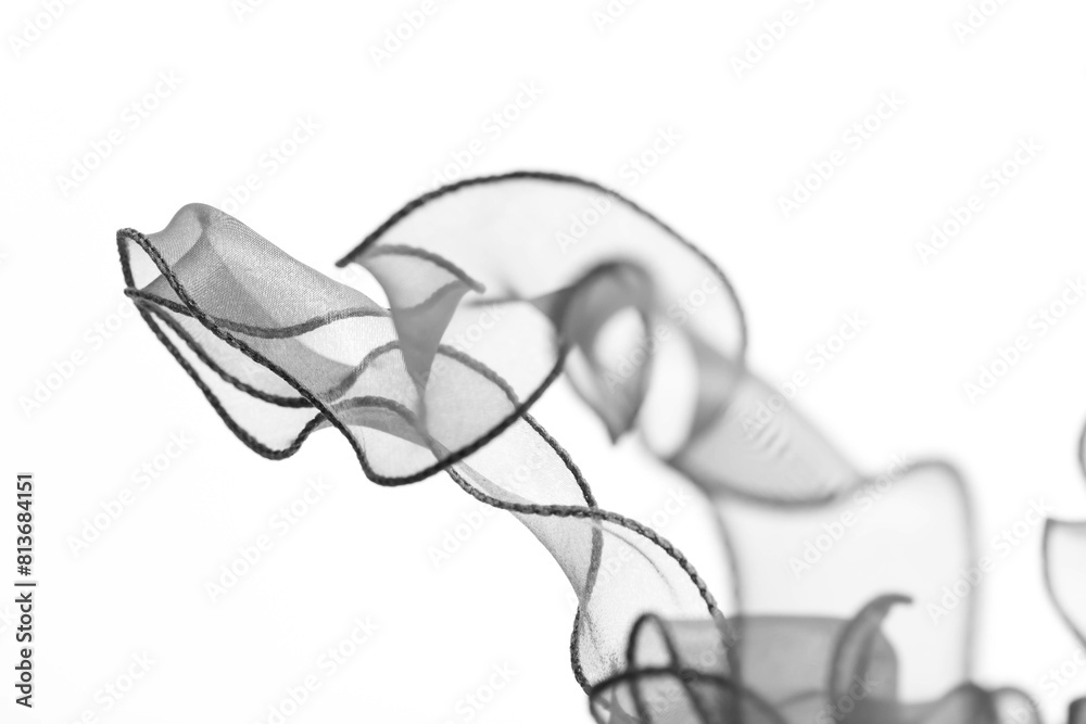 abstract black ribbon on white background abstract black ribbon on white background