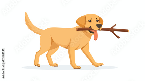 Labrador Retriever dog playing and holding caught 