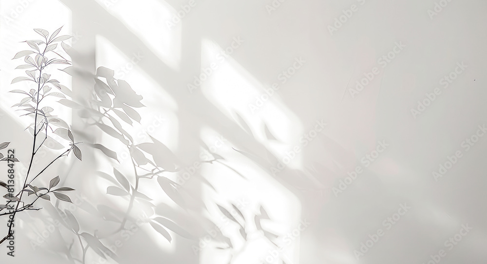 Abstract shadow on white background, Abstract shadow on white background,