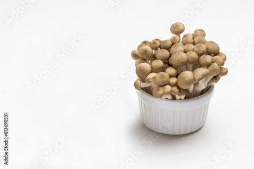 White and broun Shimeji mushrooms in ceramic bowls photo