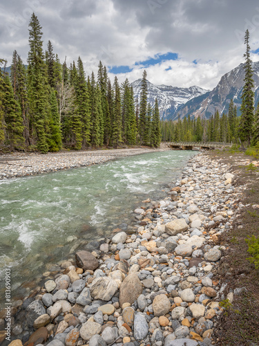 Flowing water and rocky shore of the Amiskwi River in Yoho National Park, British Columbia, Canada
