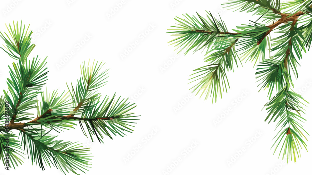 Christmas tree branch on white background Vector style