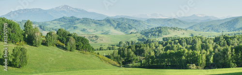 View of mountains in spring, greenery of forests and meadows, panoramic view 