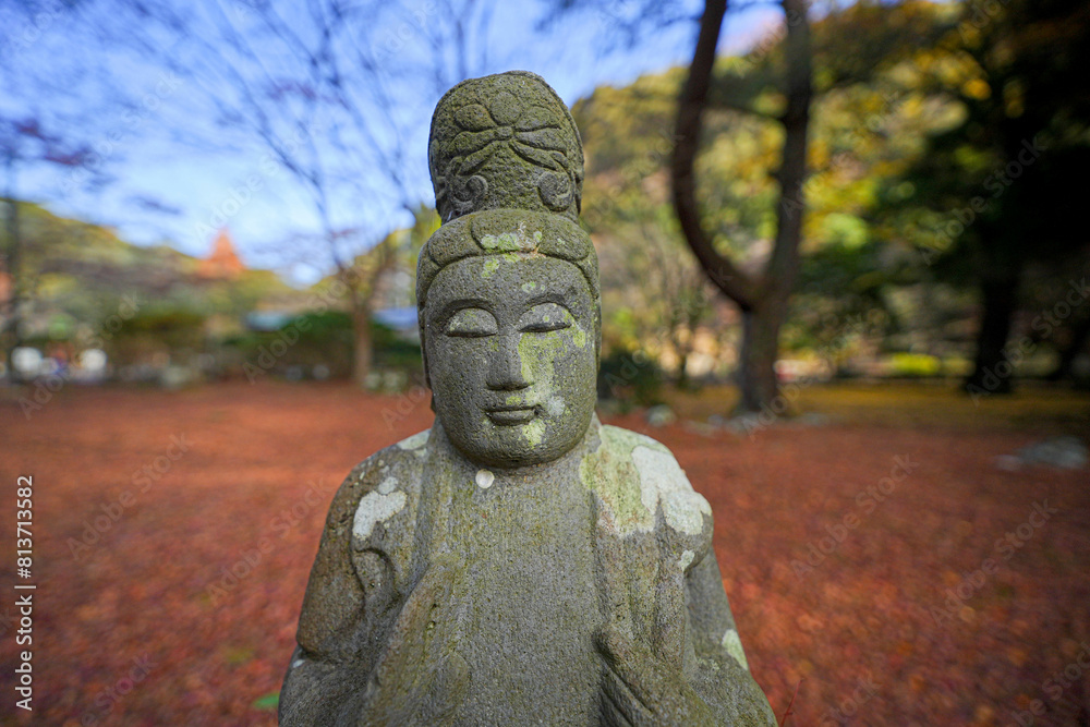大寧寺 大寧寺