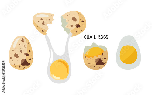 Quail eggs. Raw and boiled eggs food, breakfast eggs with fresh quail eggs on white background. Natural healthy food protein cooking ingredient. Flat design for menu, cafe,cooking class, recipes