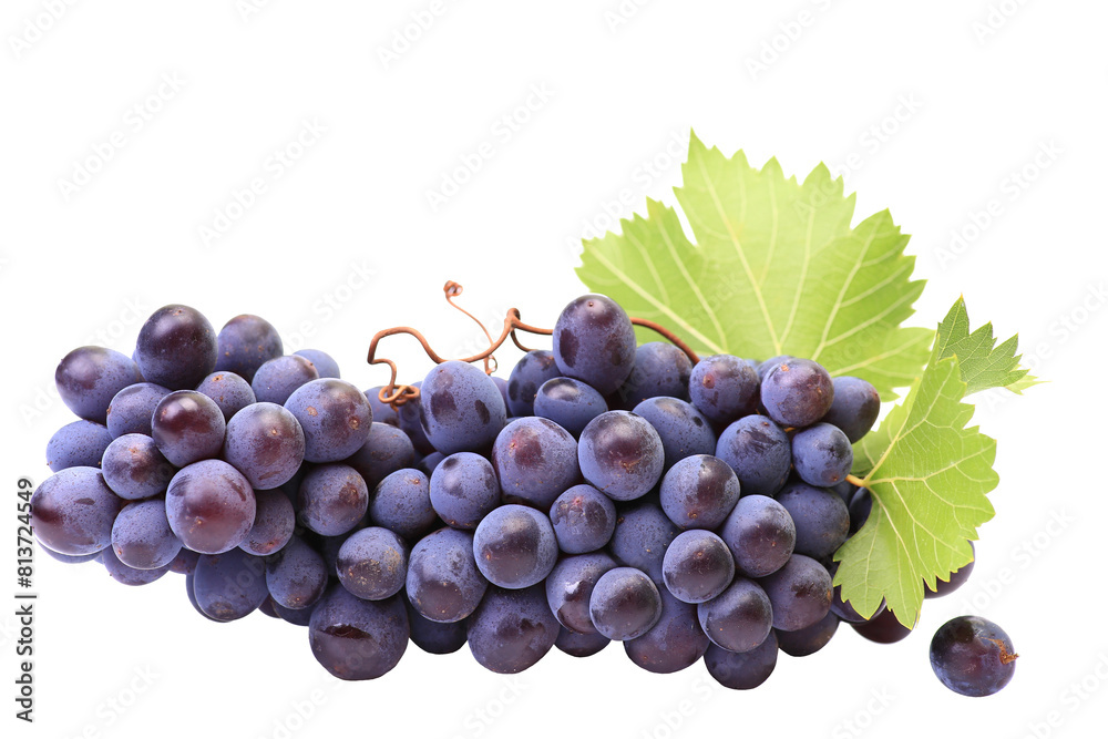 Obraz premium Bunch of grapes isolated on white