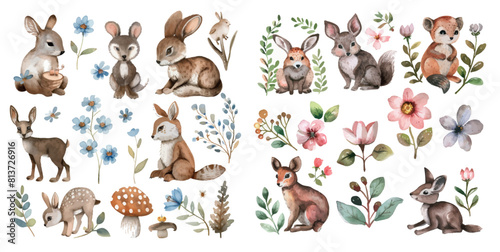 Set of watercolor illustrations of woodland animals and spring flowers