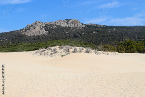 Shifting sand dune migrating inland towards the ecologically important cork and pine forests, Estrecho Nature Park, Bolonia, Spain