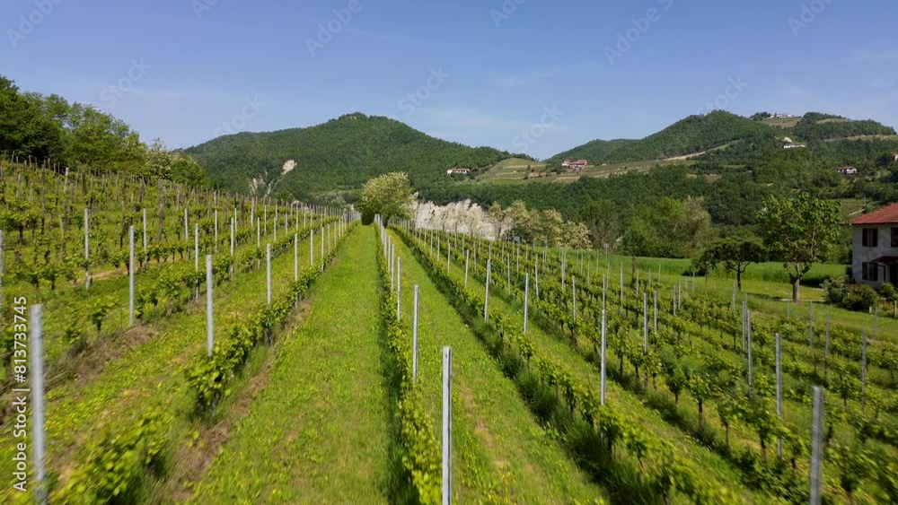 Aerial photograph of the Asti province's Italian vineyards Aerial photograph of the Asti province's Italian vineyards