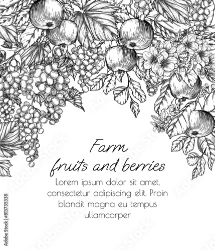 Vector frame of trees in an orchard. Grapes and apples in engraving style
