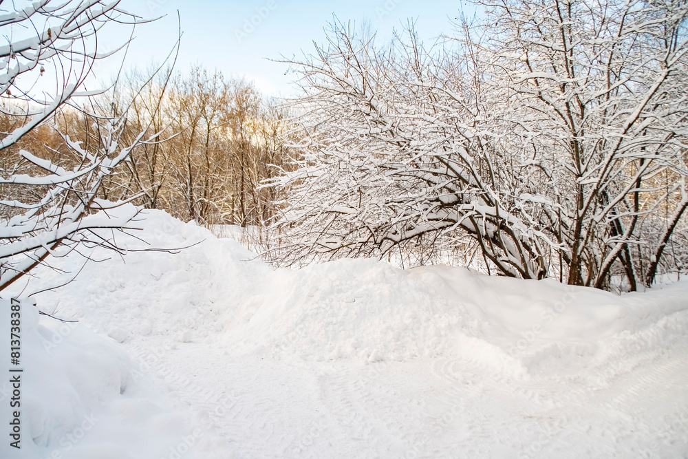 A pile of snow removed from the road in the park. The result of the work of municipal services. A pile of snow removed from the road in the park. The result of the work of municipal services.
