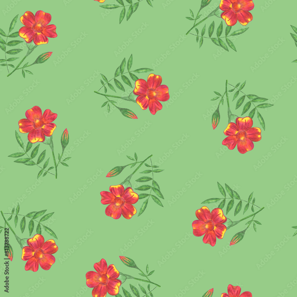 Marigold Flower Seamless Pattern. Hand Drawn Floral Digital Paper on Green Background. Marigold Flower Seamless Pattern. Hand Drawn Floral Digital Paper on Green Background.