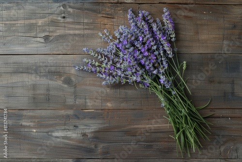 Bunch of freshly harvested lavender flowers arranged on rustic wooden surface