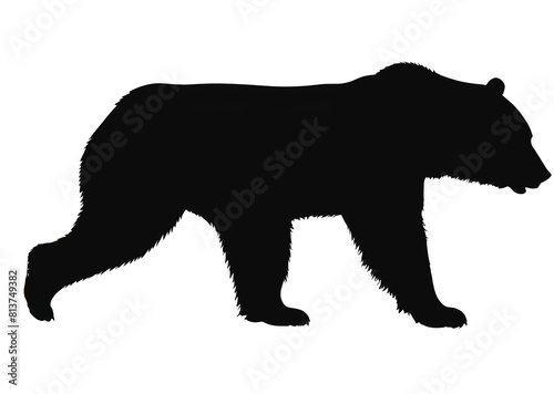 Silhouette of a black bear walking Isolated on background